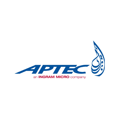 Aptech Ingram project